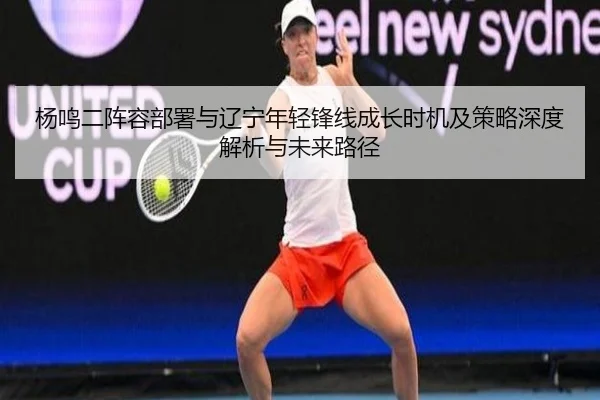 杨鸣二阵容部署与辽宁年轻锋线成长时机及策略深度解析与未来路径